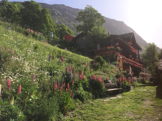 Le P'Tit Coin Montagne Lejlighed Bonneval-sur-Arc Eksteriør billede